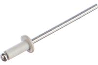 Заклепки ал./ст 3.2х8 RAL6005